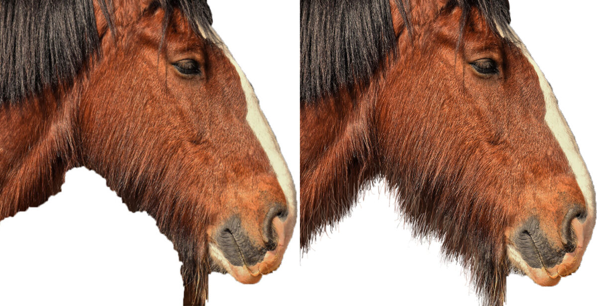 Zwei freigestellte Fotos eines Pferdekopfes mit Mähne nebeneinander. Im ersten Foto ist der Freisteller nicht retuschiert, hier sieht die Kante der Mähne unnatürlich und abgehackt aus. Im zweiten Foto ist der Freisteller durch für die Mähne zusätzlich eingezeichnete Haare retuschiert.